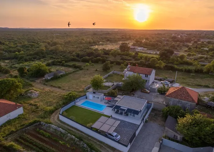 Emanuel فيلة زادار